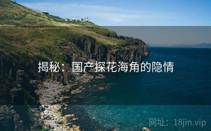 揭秘：国产探花海角的隐情