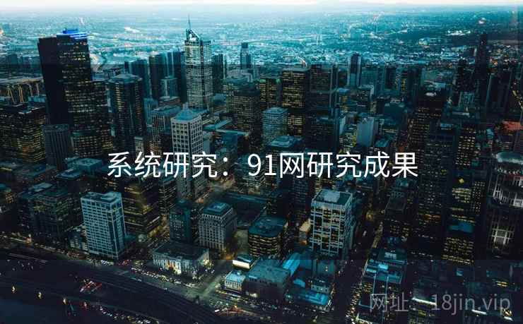 系统研究：91网研究成果