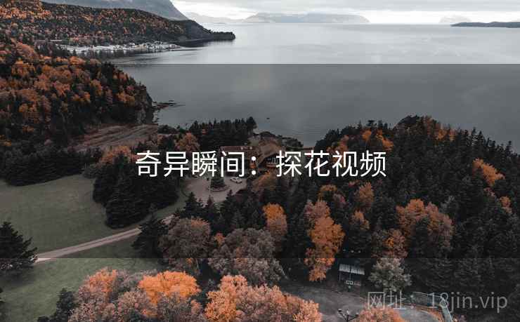 奇异瞬间：探花视频  第2张