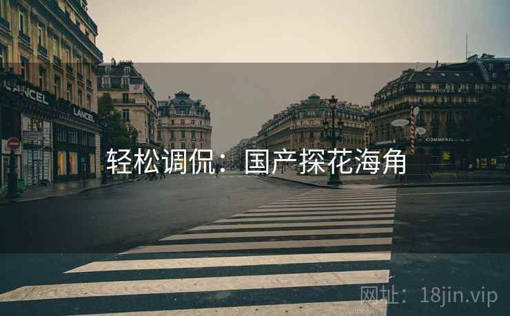 轻松调侃：国产探花海角