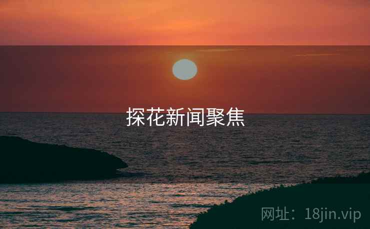 探花新闻聚焦