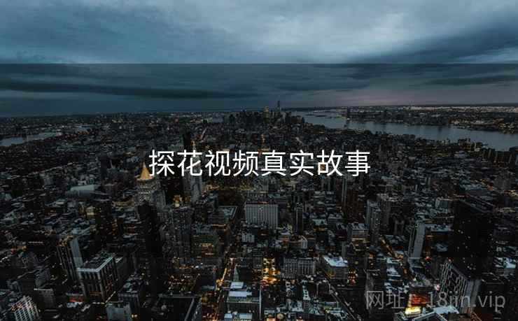 探花视频真实故事