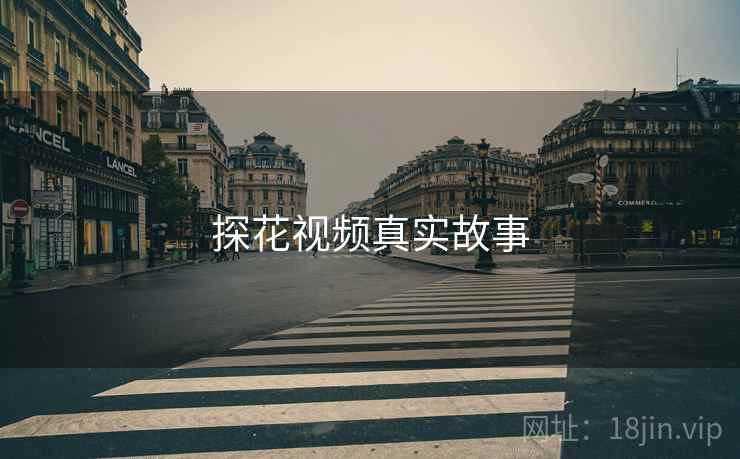 探花视频真实故事