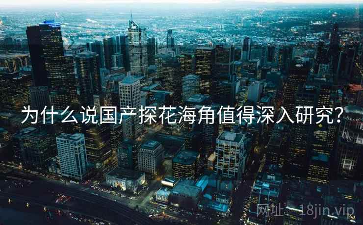 为什么说国产探花海角值得深入研究？