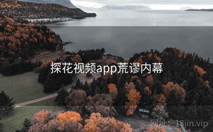 探花视频app荒谬内幕