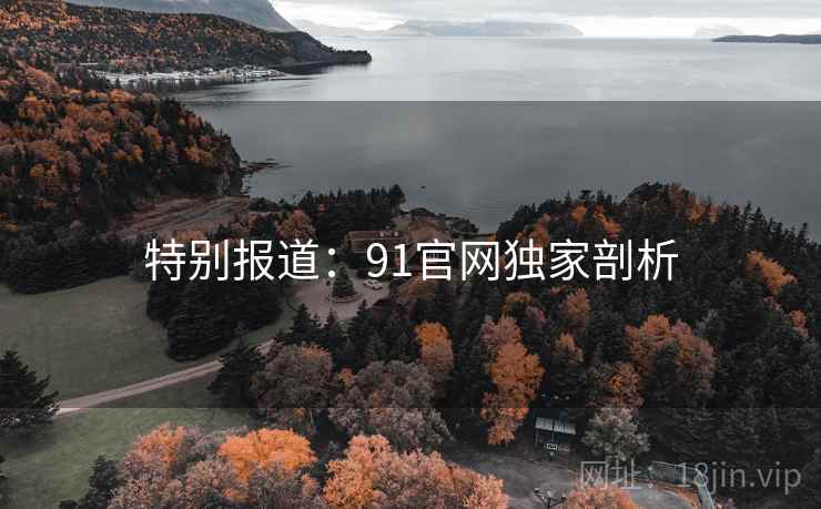 特别报道：91官网独家剖析