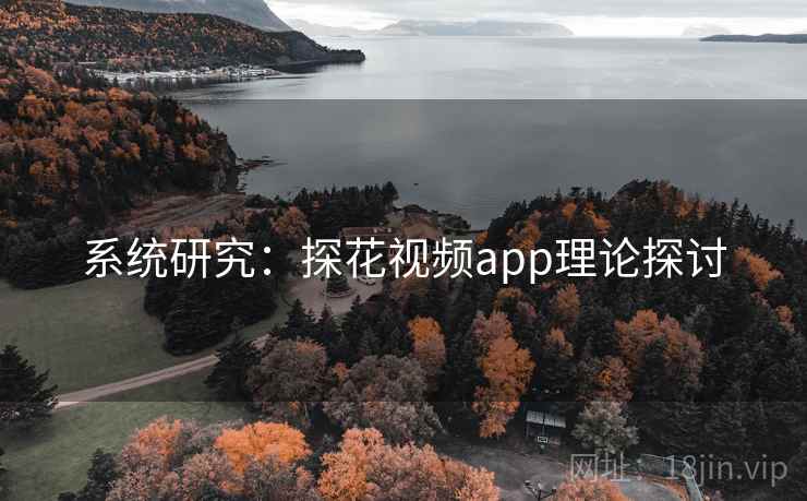 系统研究：探花视频app理论探讨