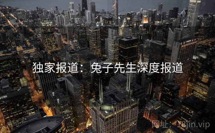 独家报道：兔子先生深度报道