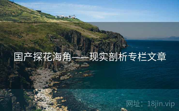 国产探花海角——现实剖析专栏文章