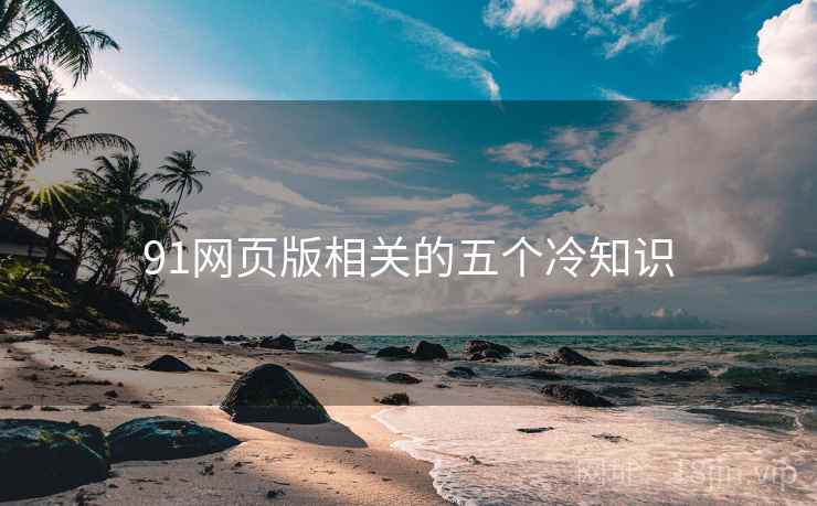 91网页版相关的五个冷知识