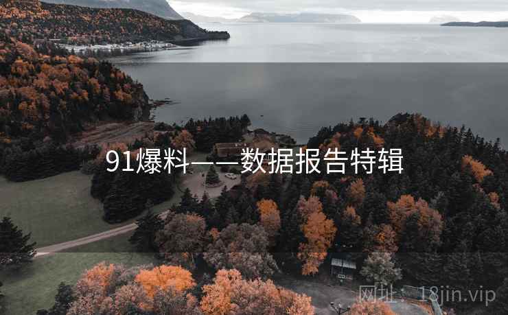91爆料——数据报告特辑