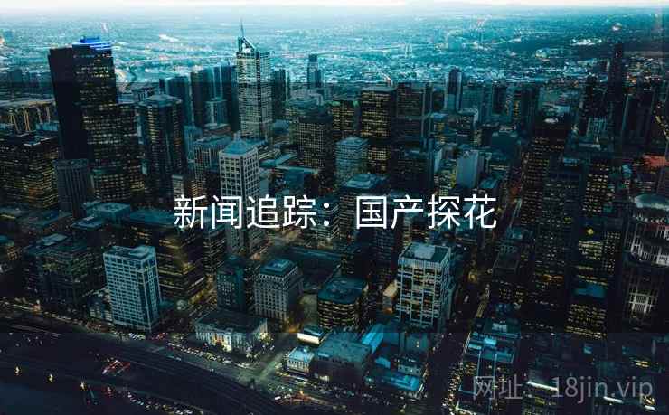 新闻追踪:国产探花