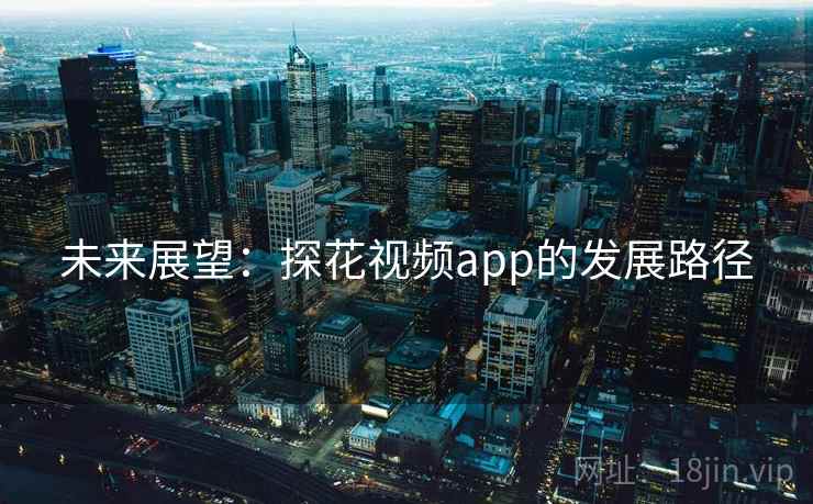 未来展望:探花视频app的发展路径