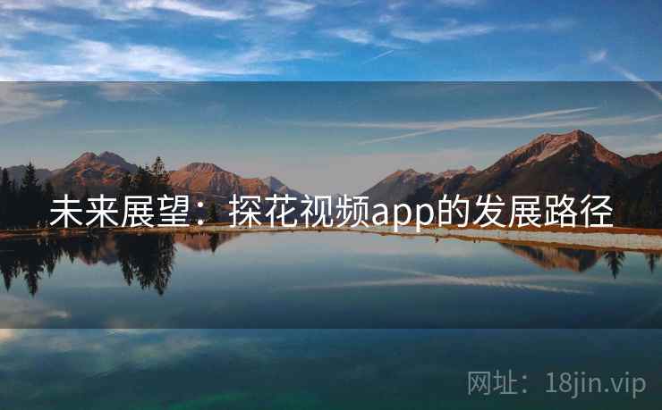 未来展望:探花视频app的发展路径