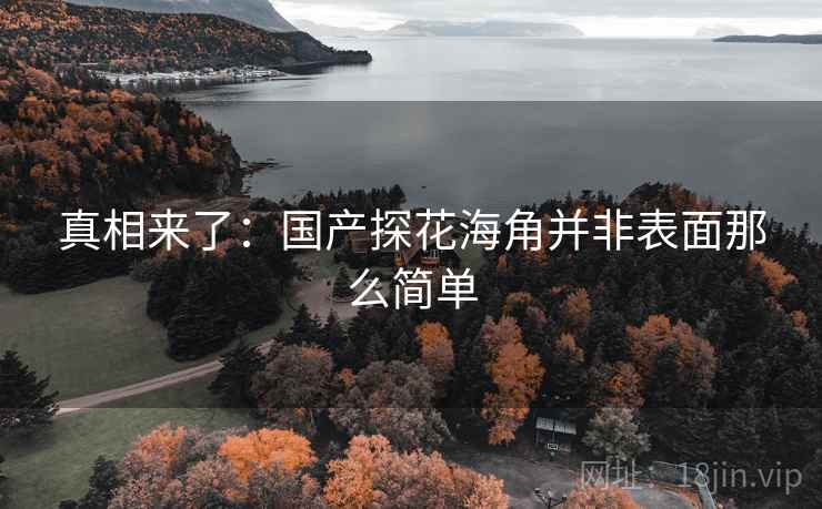 真相来了:国产探花海角并非表面那么简单