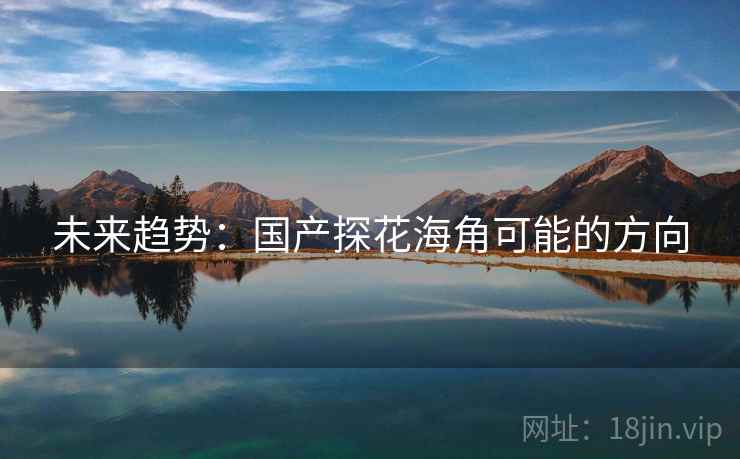 未来趋势:国产探花海角可能的方向