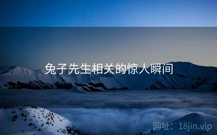兔子先生相关的惊人瞬间