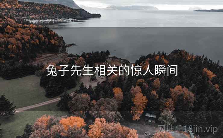 兔子先生相关的惊人瞬间