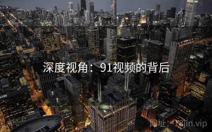 深度视角:91视频的背后