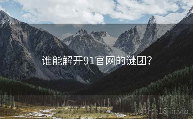 谁能解开91官网的谜团?