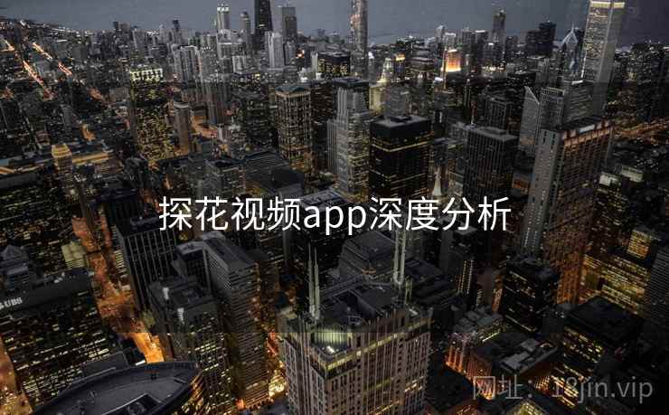 探花视频app深度分析