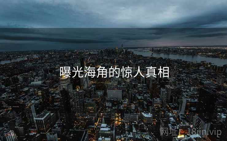 曝光海角的惊人真相