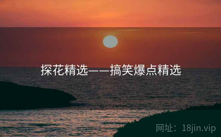 探花精选——搞笑爆点精选